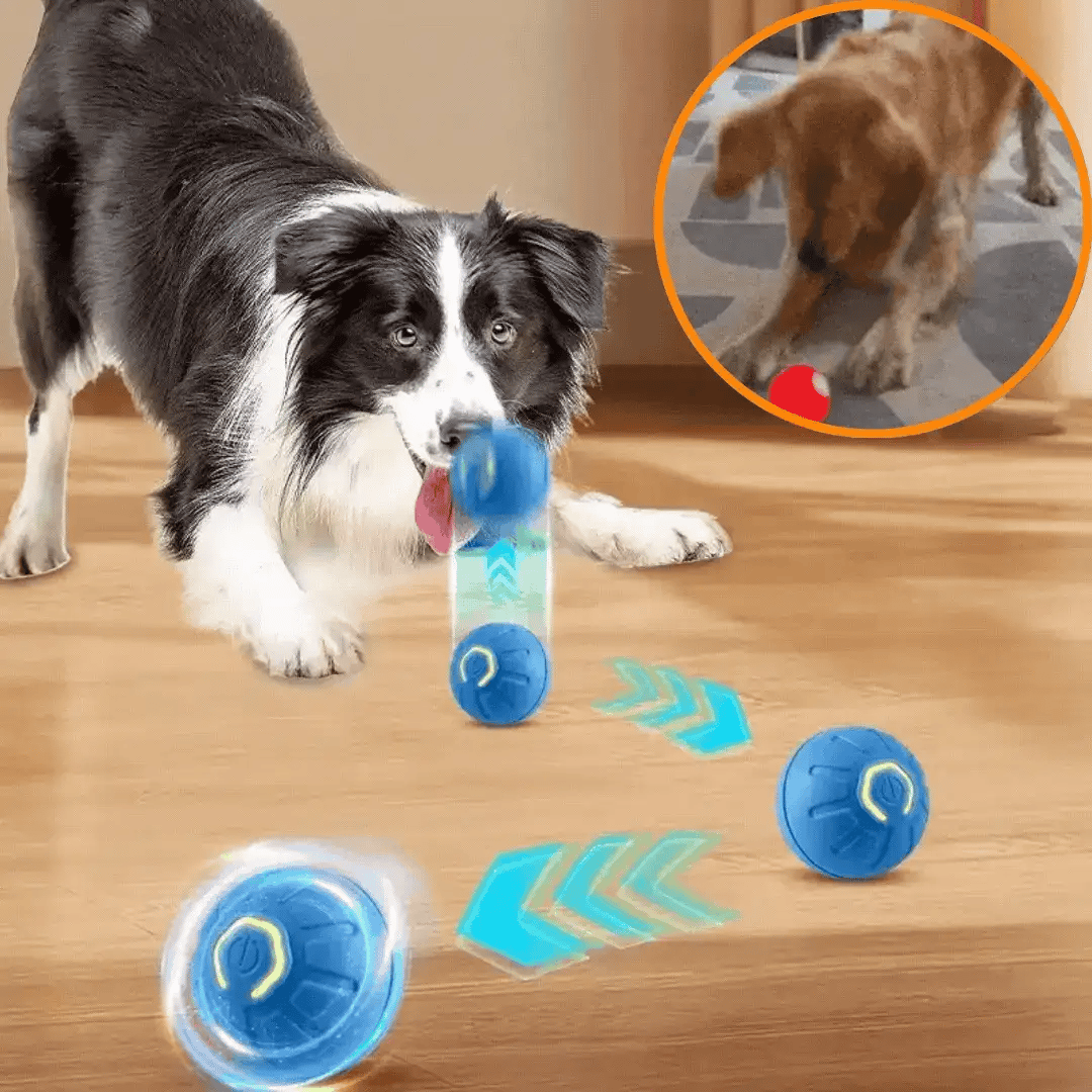 Minge Interactiva cu Senzor de Miscare pentru Caini si Pisici