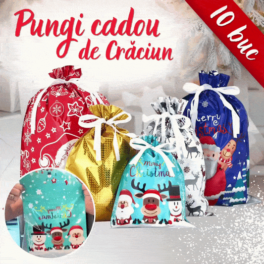 Set 10 Pungi de Cadou de Craciun cu Snur si Etichete