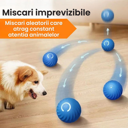 Minge Interactiva cu Senzor de Miscare pentru Caini si Pisici