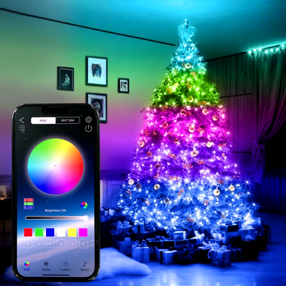 Instalatie de Craciun RGB cu Control Bluetooth prin Aplicatie 100 LED-uri 10m